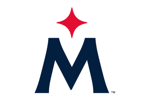 Minnesota Twins secondary Logo